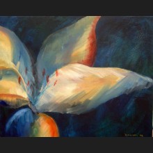 Lily I
